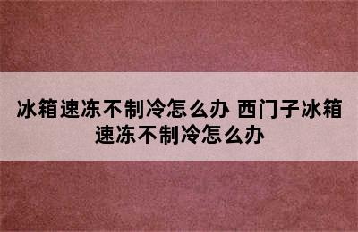 冰箱速冻不制冷怎么办 西门子冰箱速冻不制冷怎么办